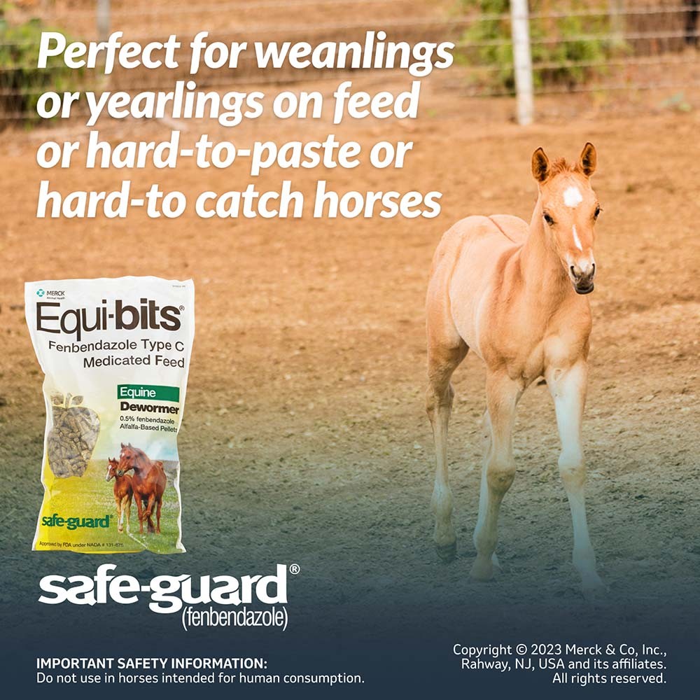 Safe-Guard Equi-Bits 1.25lb