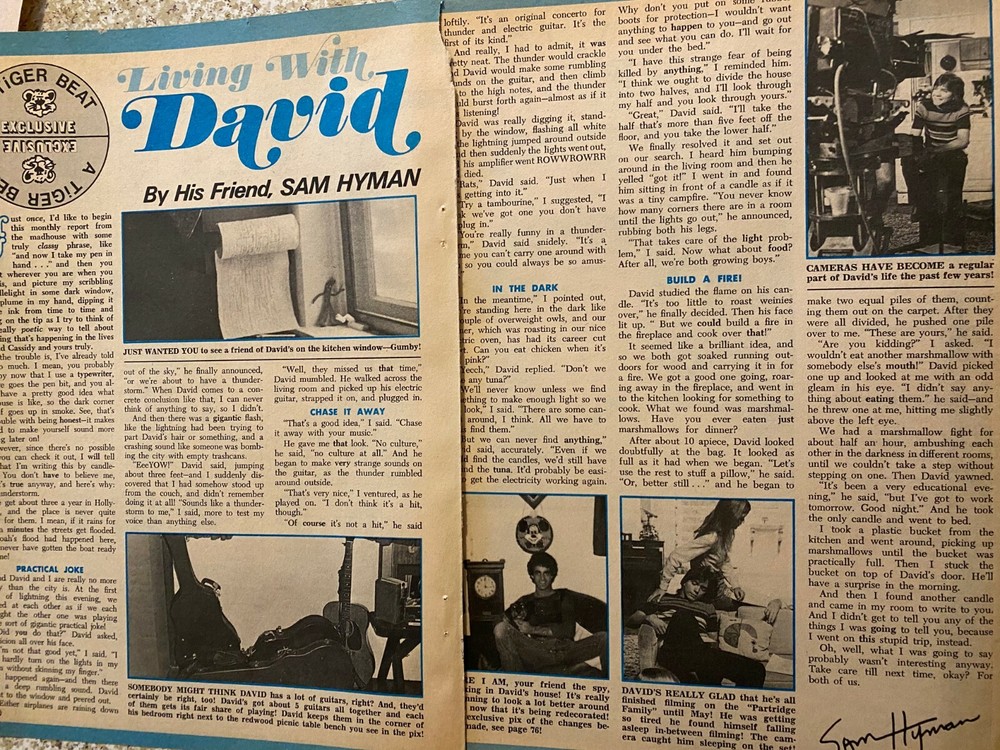 David Cassidy, Two Page Vintage Clipping