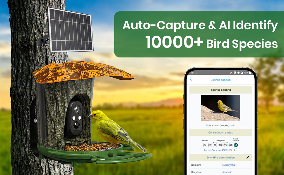 AI Smart Bird Feeder with Camera Auto Capture Videos Solar Panel Birdwatching