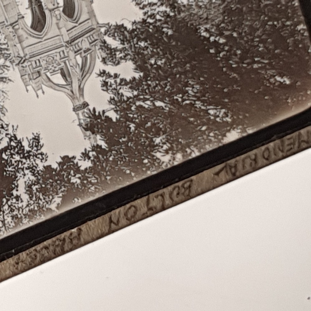 Glass Slide Collectable