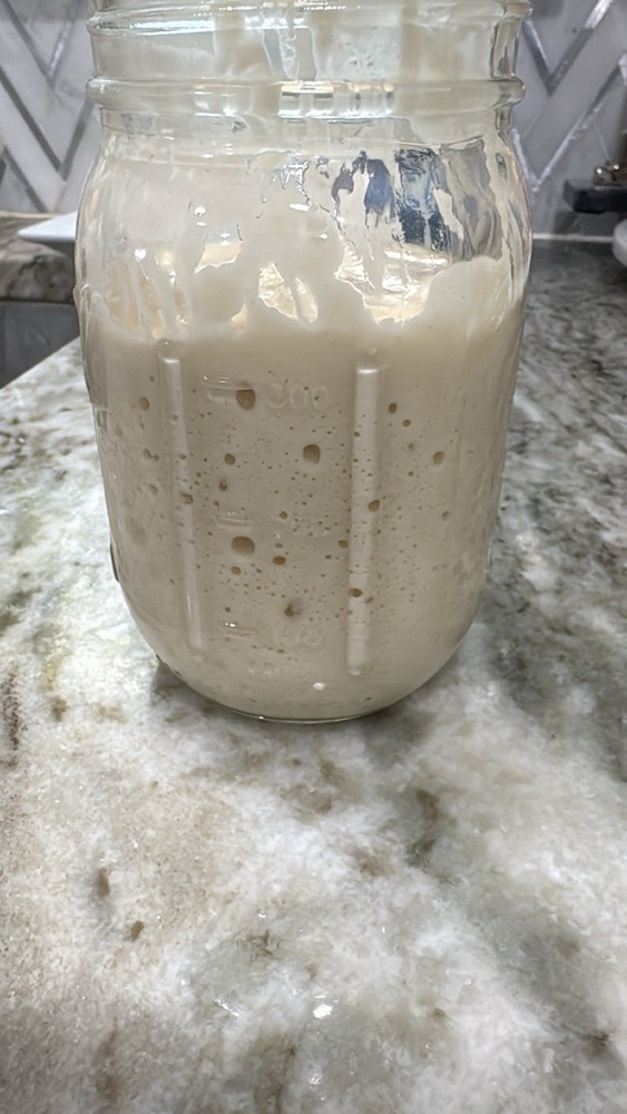 Dehydrated Sourdough Starter