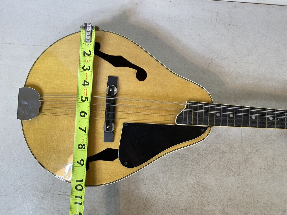 Mandolin BB B415 Instrument case & Accessories 41S9