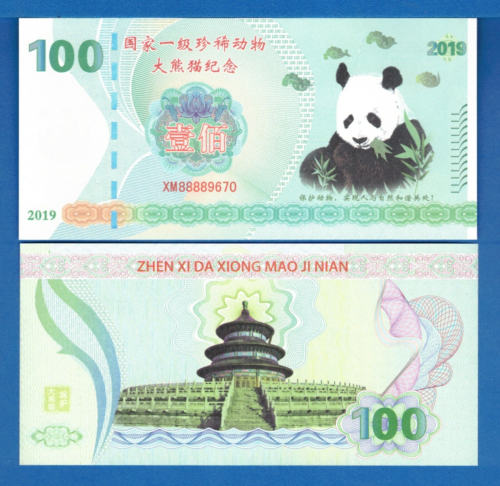 China Panda Test Banknote 2019 Uncirculated Banknote