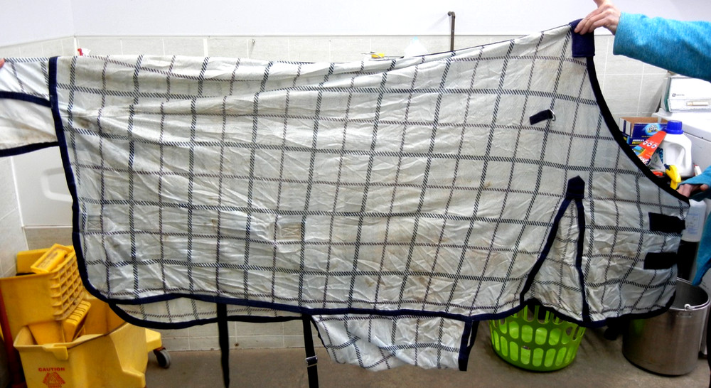 Horse Fly Sheet, size 69"