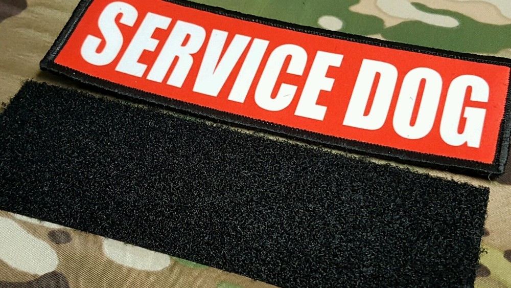 Service Dog Patch 2x6 Red Hook Back K9 Therapy