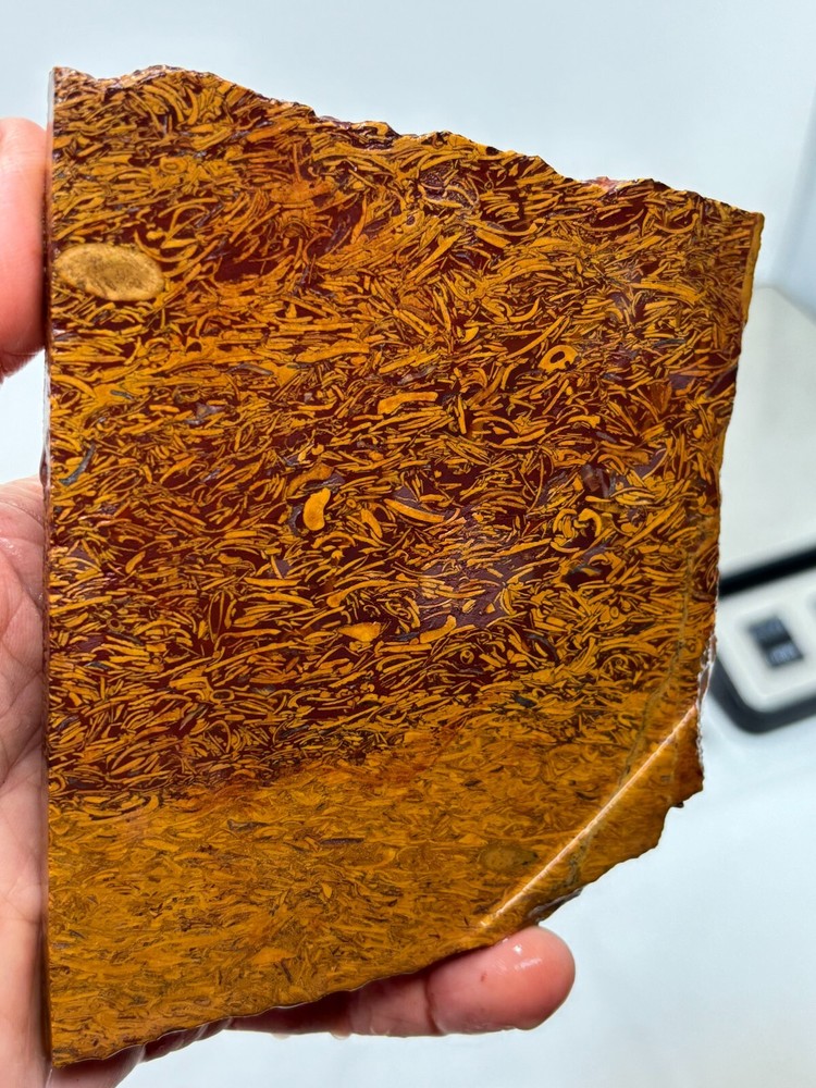 Script Stone Jasper Slab Cabbing Lapidary Collecting Combo Ship Avail