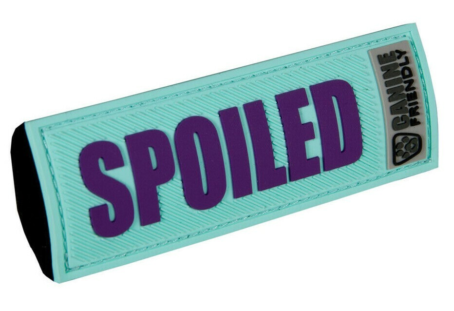 Bark Notes "Get the Message" Sleeve for Dog Collar or Leash - SPOILED, 1" Width