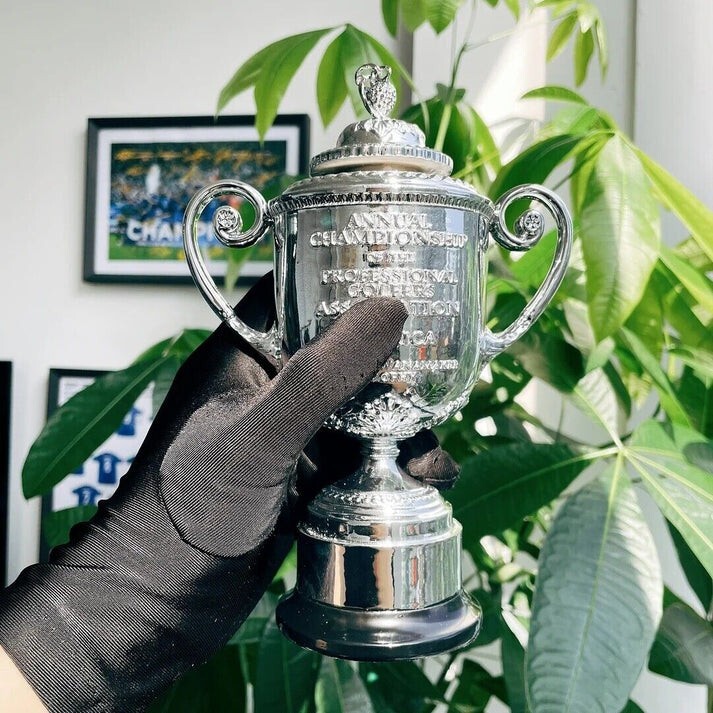 PGA Golf Championship Trophy Resin Replica Trophy 20CM Height