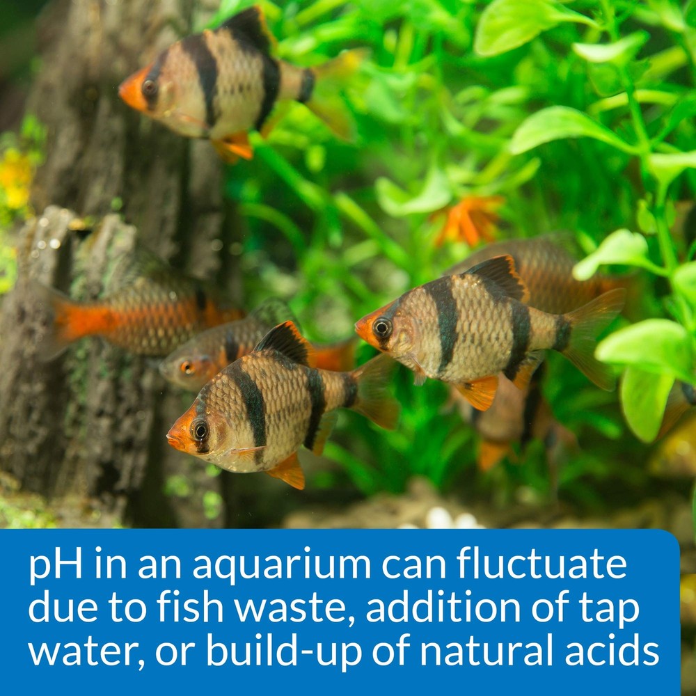 API Freshwater Aquarium pH Test Adjuster Kit 250 Tests Fish Care Solution