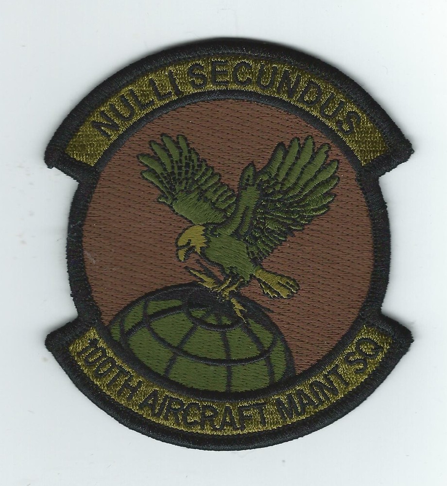 100th AIRCRAFT MAINTENANCE SQUADRON OCP patch