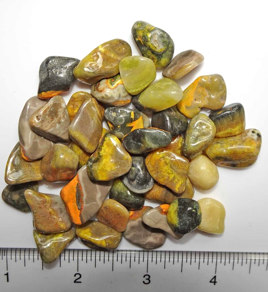 Bumblebee Jasper - 30 Tumbled Stones rt493d