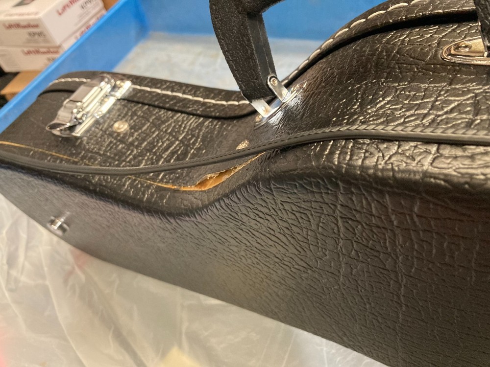 Taurus Mandolin TM-001 (Damaged case)