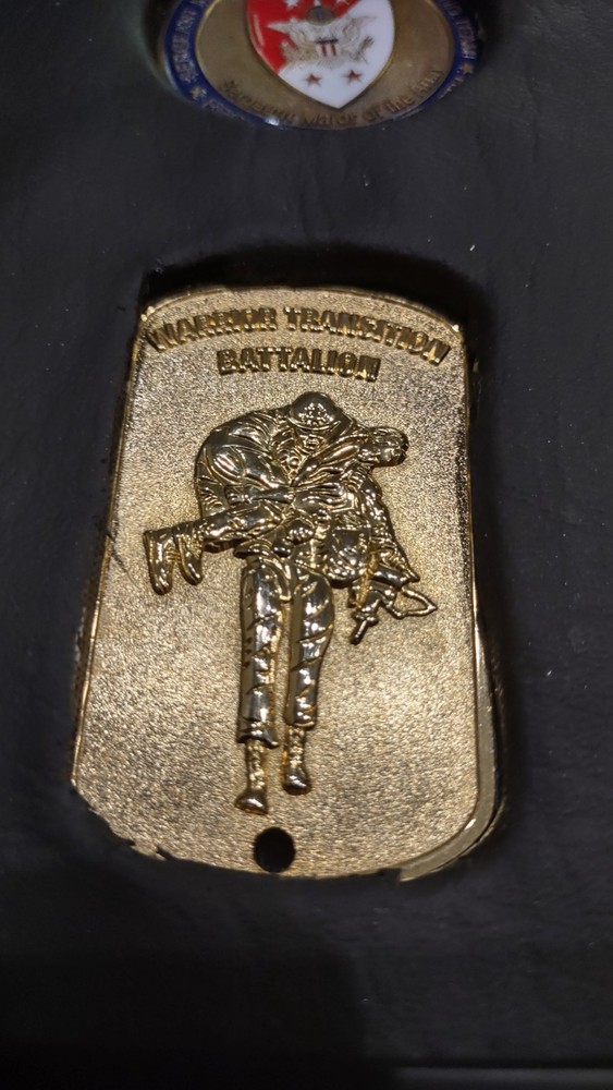 ARMY MEDAL WALL DISPLAY Real