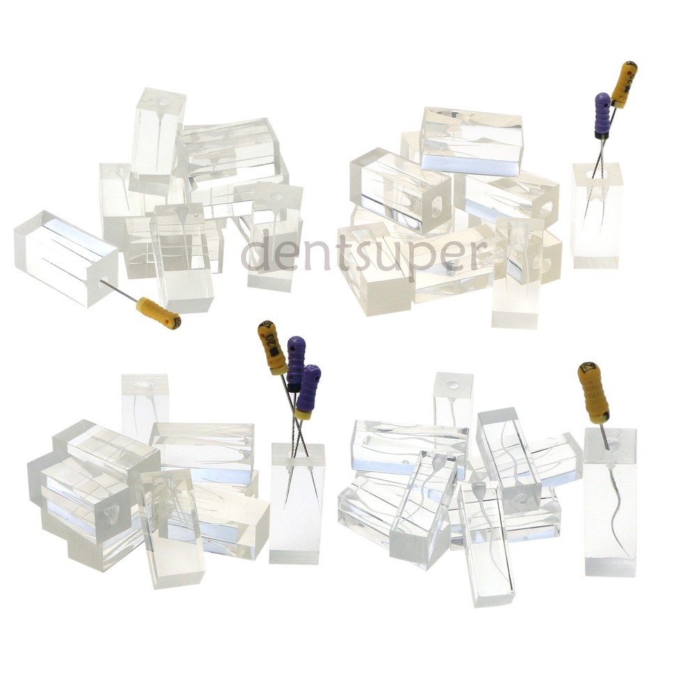 10Pcs Dental Endodontic Study Practice Operation Tooth Model Clear Root Canals