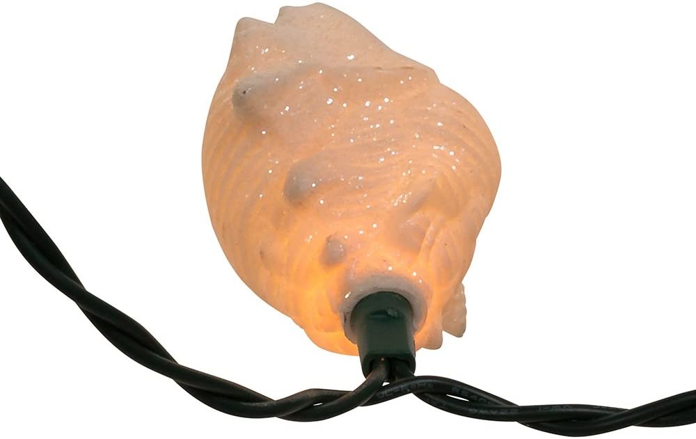 Shell and starfish light set