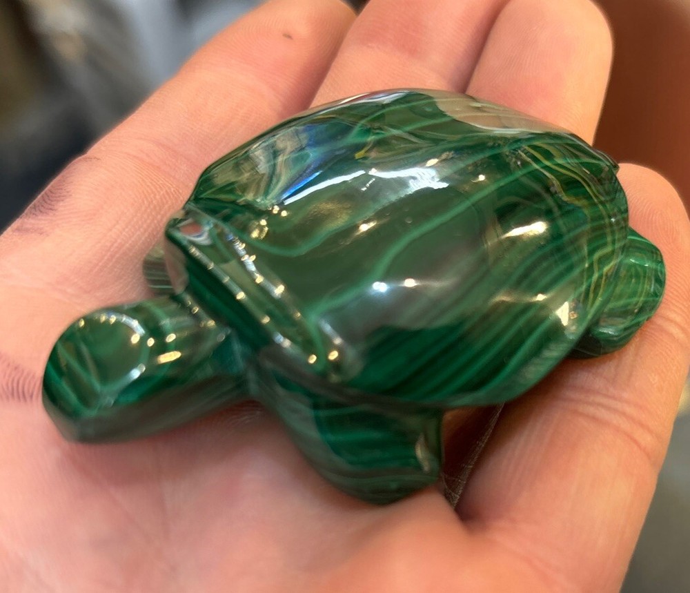 2” Malachite Turtle