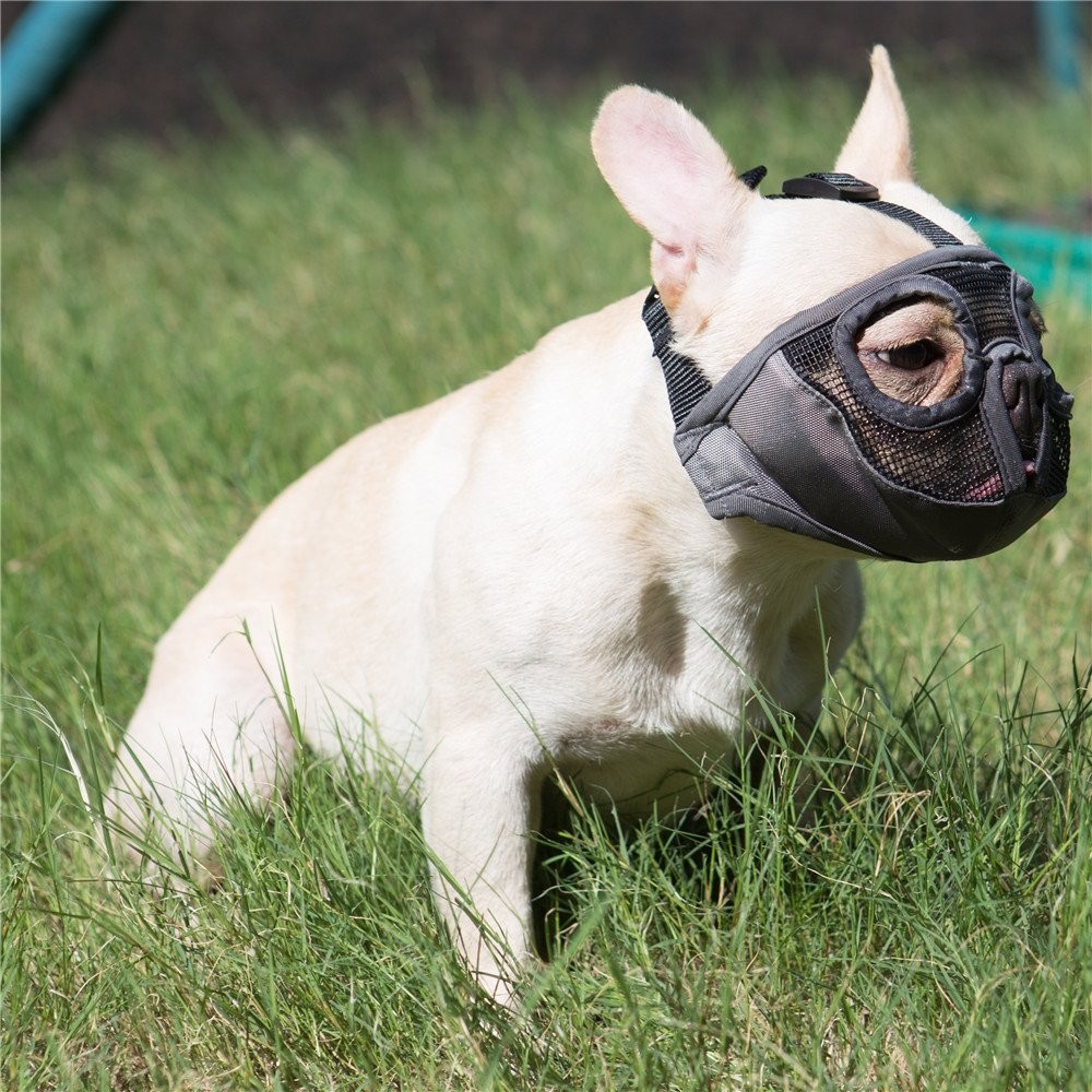 Short Snout Dog Muzzle Adjustable Breathable Mesh Bulldog Training Mask Grey