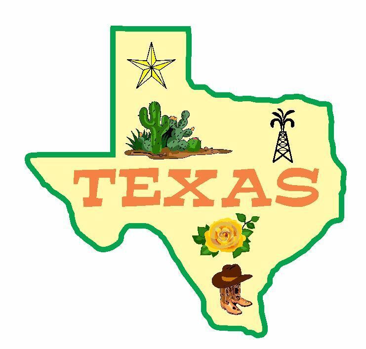 Texas Sticker Decal