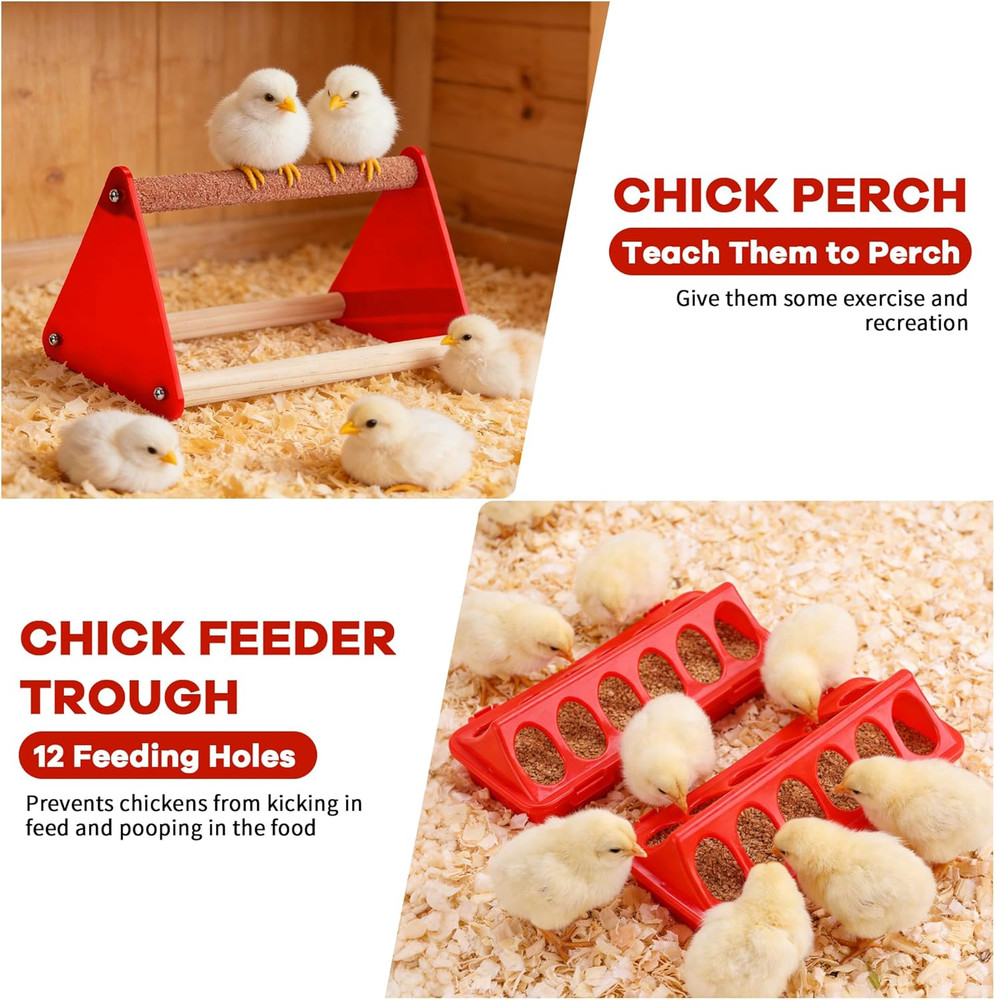 Chicken Feeder and Waterer Set, Chick Starter Kit with Chick Perch