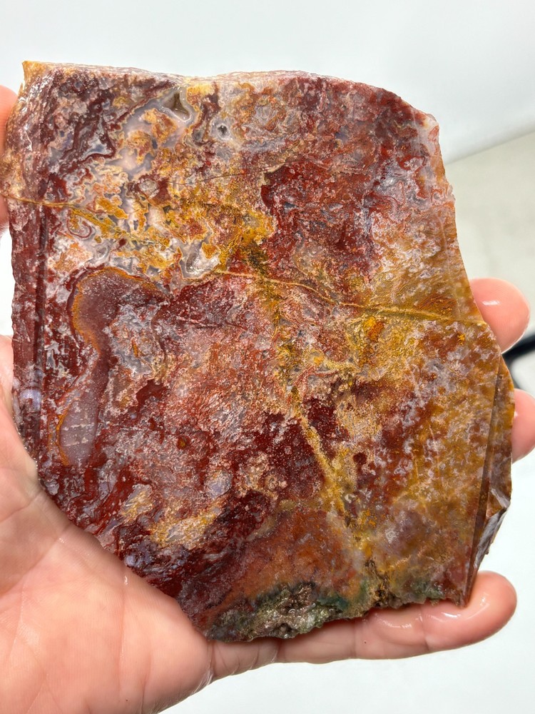Large Mexican Red Moss Agate Slab Lapidary Cabbing Combo Ship Avail