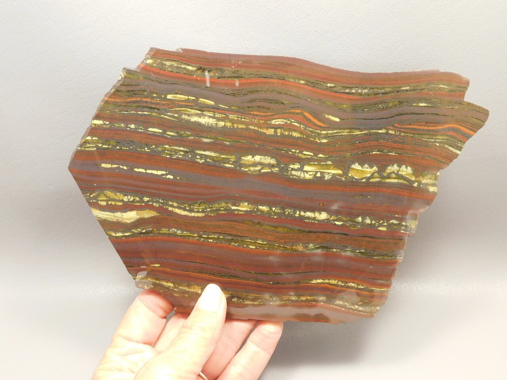 Tiger Iron Rough Rock Lapidary Stone Slab Cabbing #O3