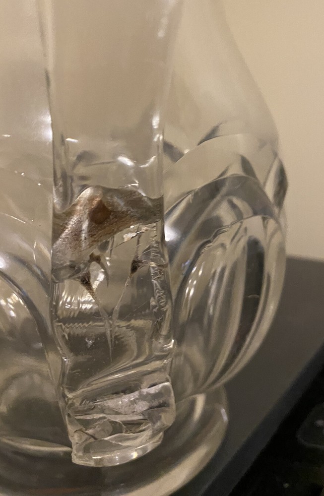 8” clear glass pitcher