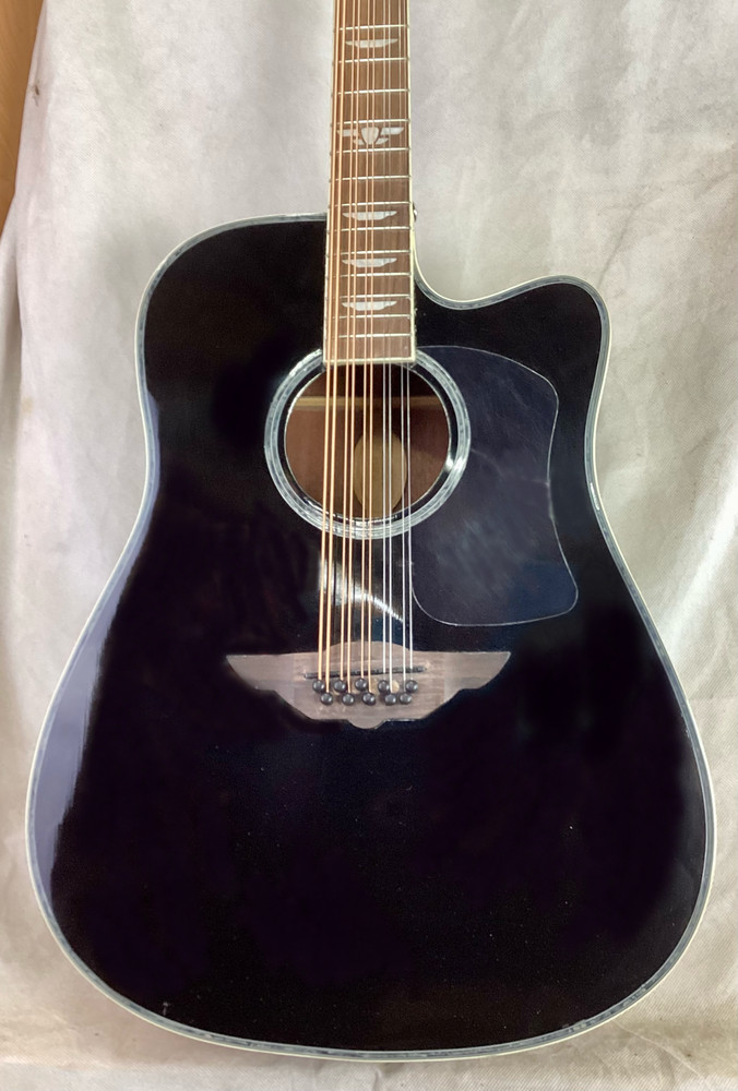 10 string mandocello, cittern prototype conversion of a dreadnaught guitar