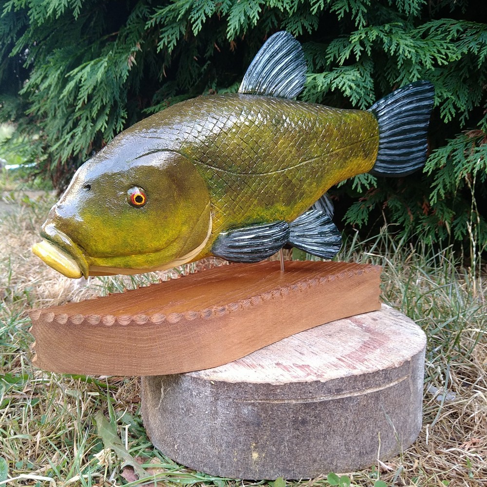 Tench Fishing , fish