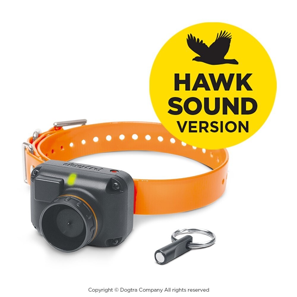 Dogtra STB Beeper Collar – Hawk Version Dog Training Collar