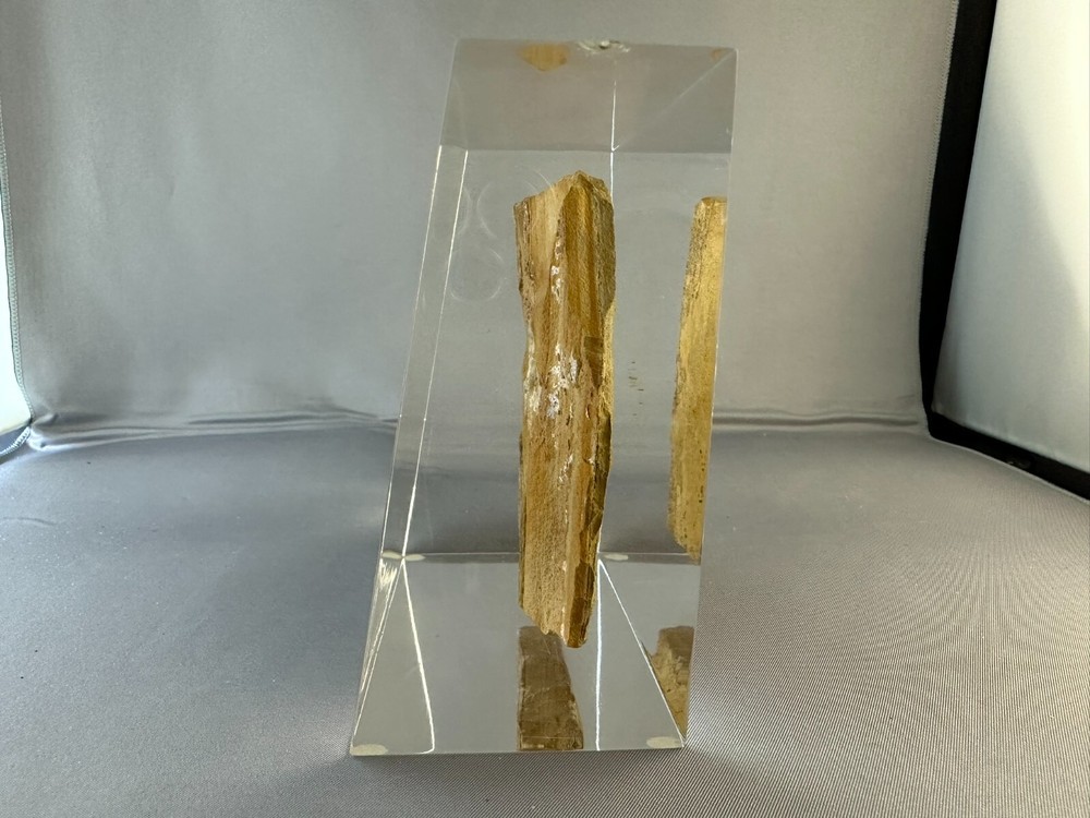 🦴 Fossilized Fish in Stone Matrix 🐟 | Authentic Prehistoric Specimen | Display