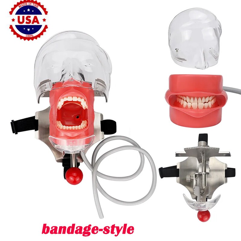 Oral Simple Head Mold Dental Teaching Simulation Head Mold Taping Type Reusable