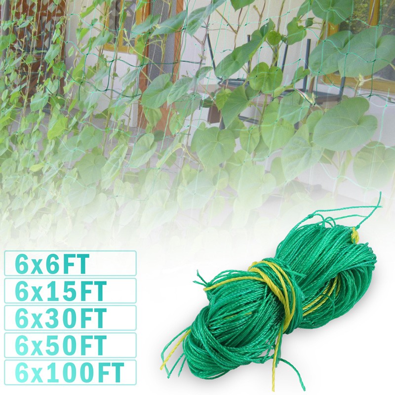 Garden Plant Climbing Net Trellis Netting Mesh Support Fruit Vine 6FT-100FT