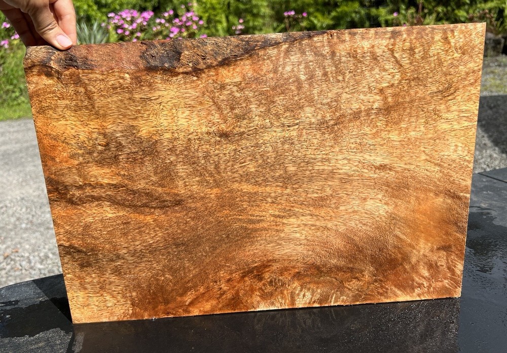 Hawaiian Curly Mango Board #12023