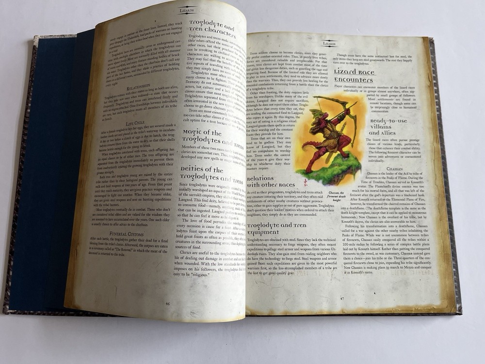 Dungeons and Dragons Serpent Kingdoms Forgotten Realms 2004