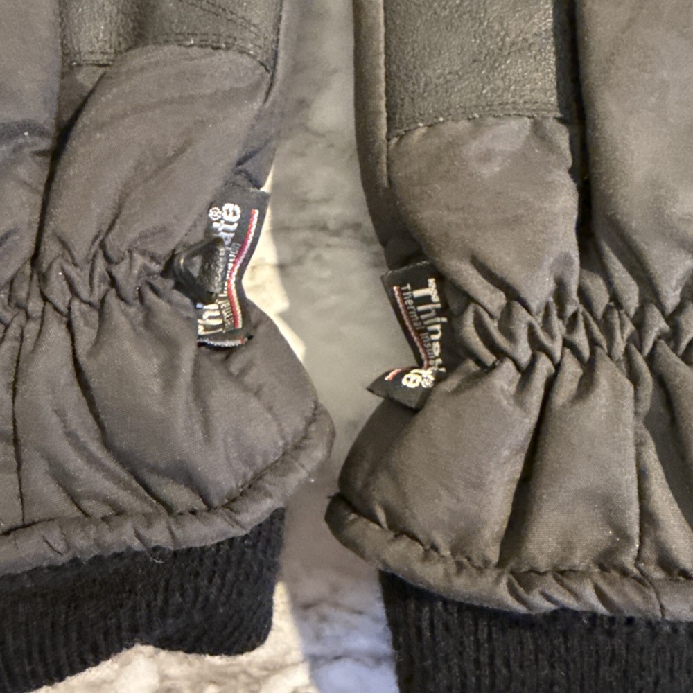 thinsulate gloves Black G734l S/m