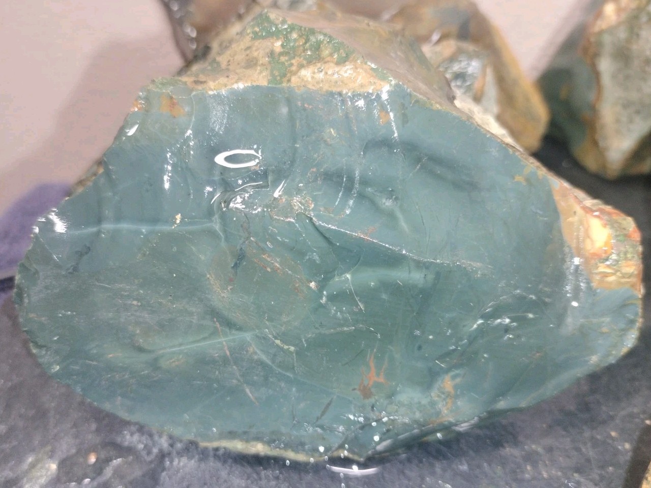 7.3LB ORBS Blue Mountain Picture Jasper Rough 6pc Lot #26