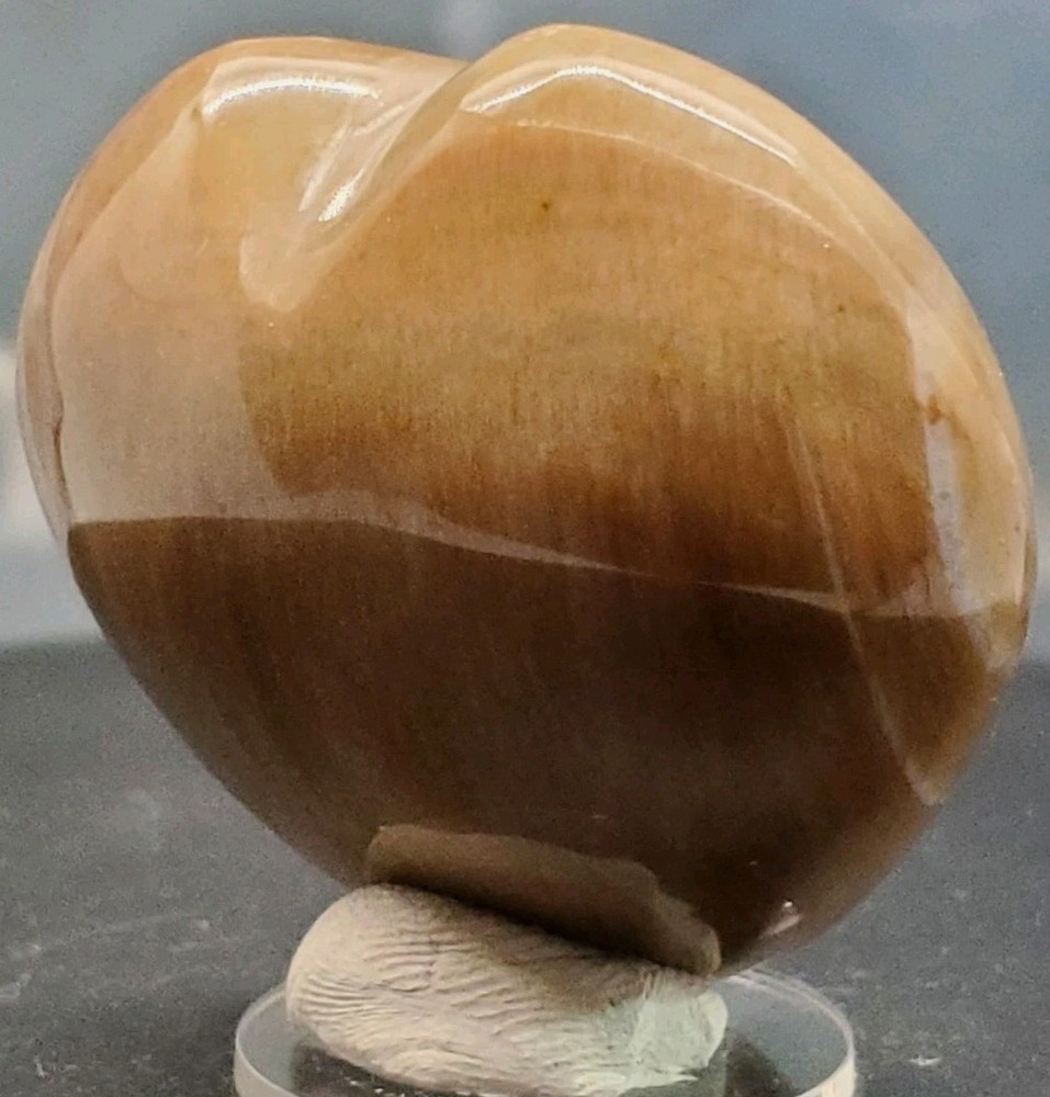 Petrified Wood Heart Carving