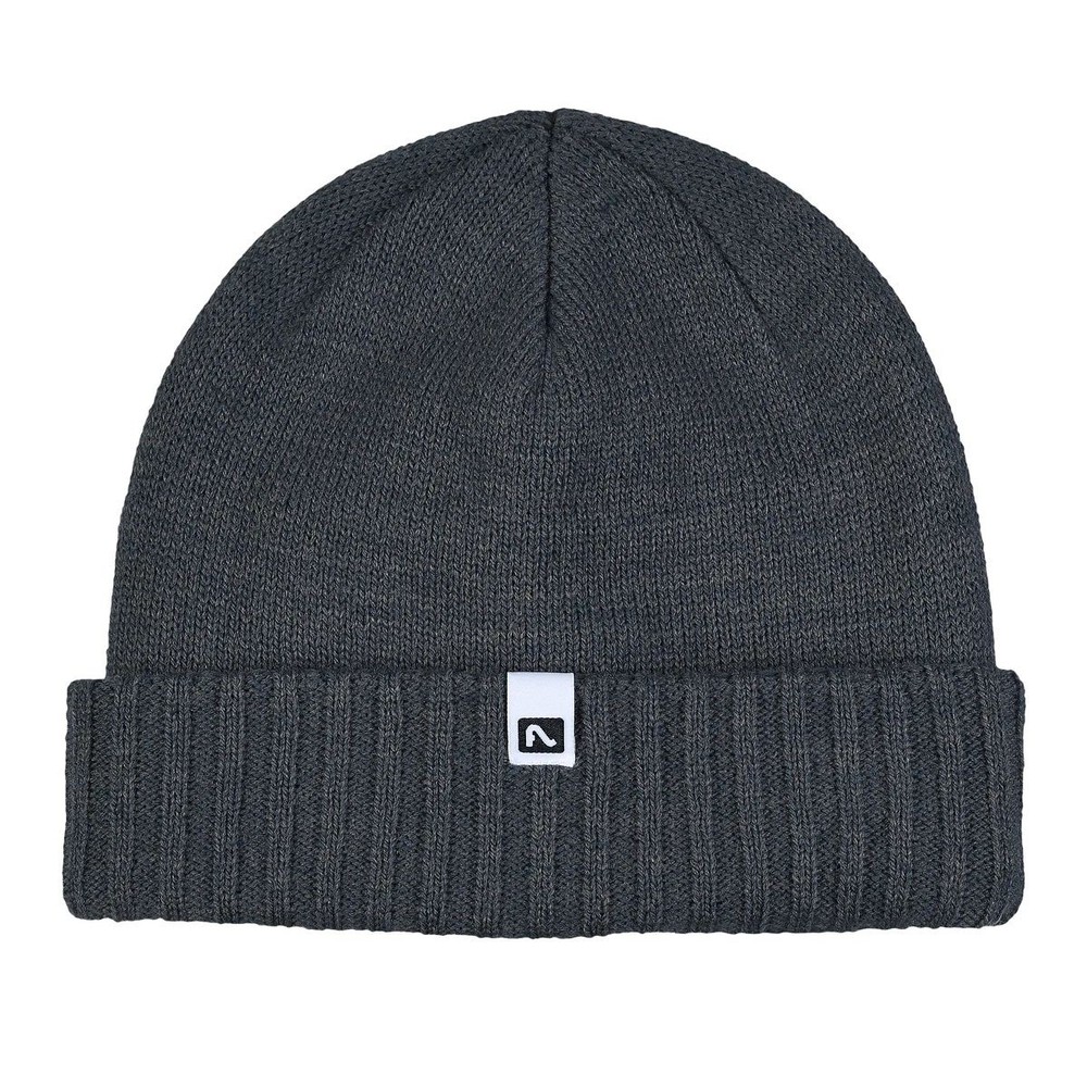 Flylow Forecaster Beanie, Shadow