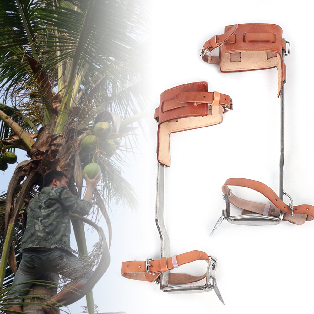 2pcs Tree Climbing Spikes, Stainless Steel Tree Climbing Tool, Adjustable Strap