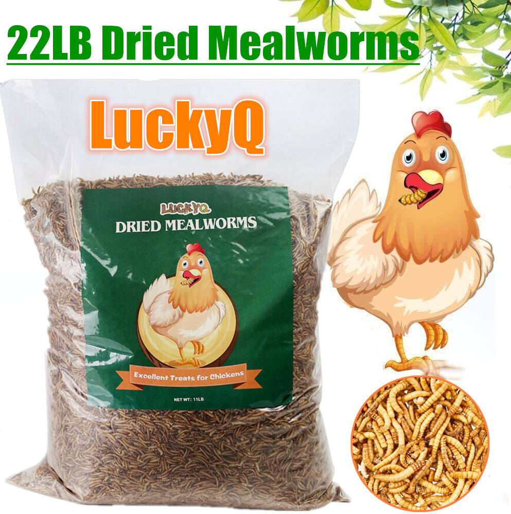 22LB Dried Mealworms Bulk Non-GMO Organic for Wild Blue Bird Chickens Hen Treats