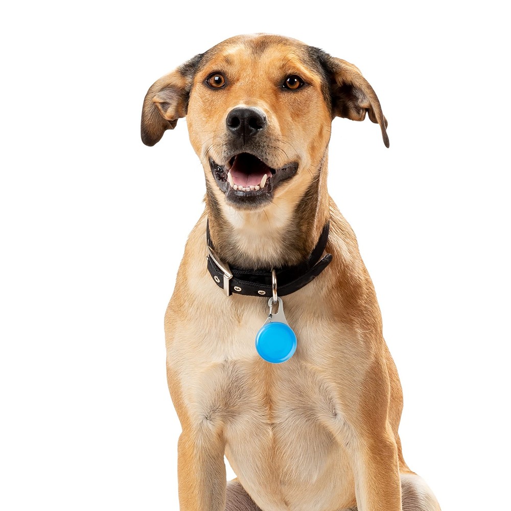 NITE IZE WearAbout Pet Tracker Holder Blue