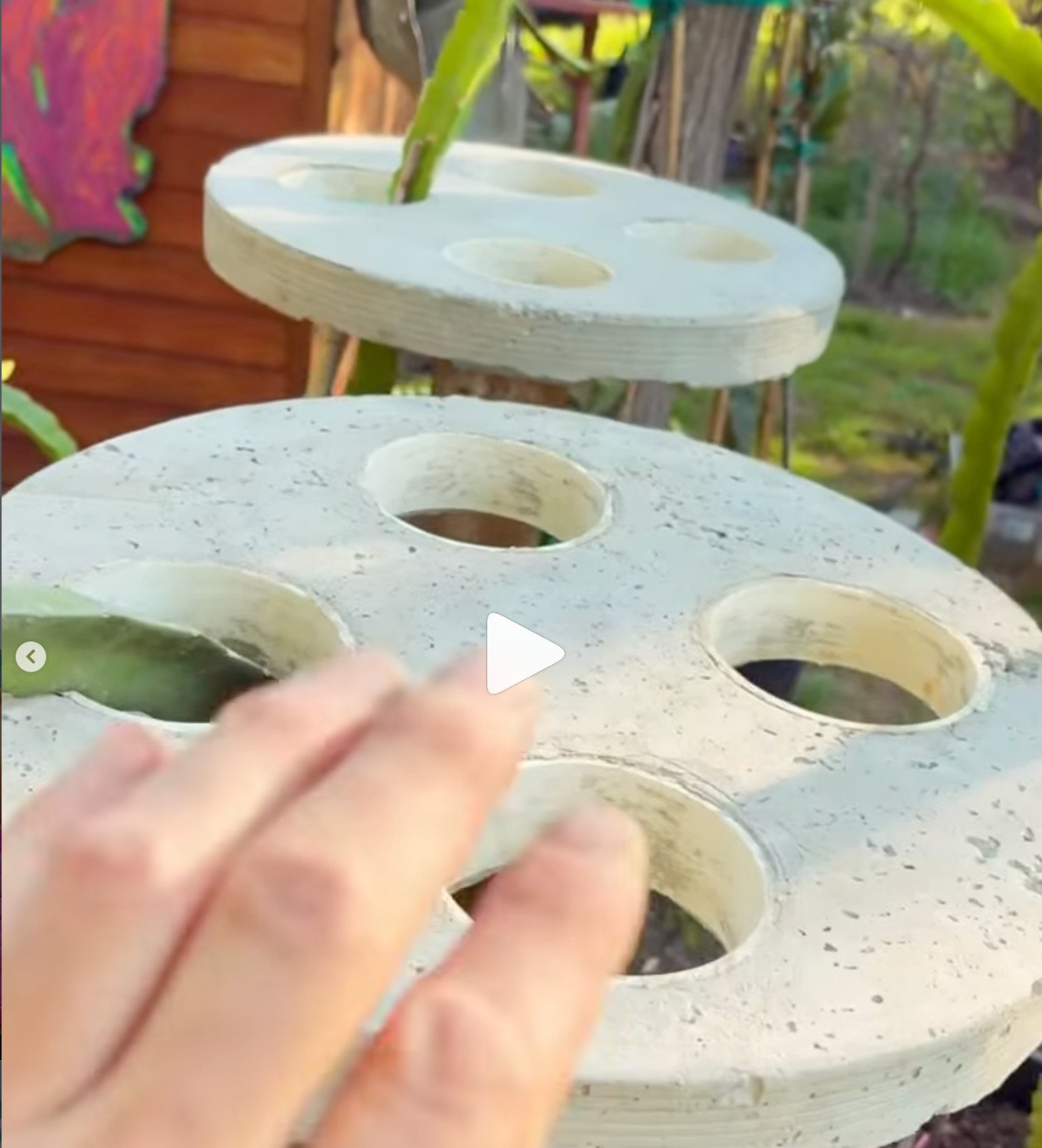 Dragon Fruit Trellis Topper with FREE LED SOLAR LIGHT Screw Direct to 4x4 Post