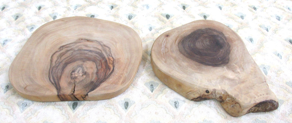 PETRIFIED TREE SLICES FOSSILIZED 5" ROUNDS