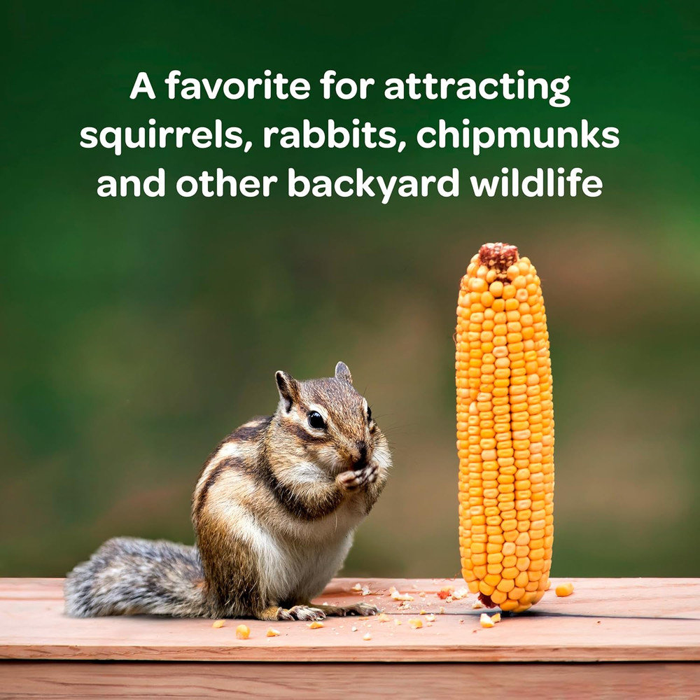 Corn on the Cob, 6.5 Lb