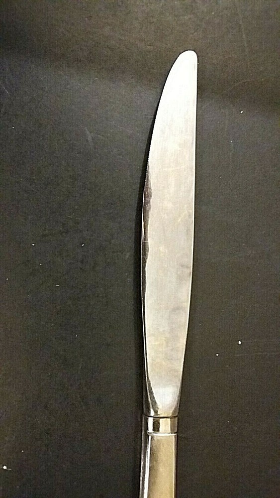 Oneida Vignette Stainless Dinner Knife 9 1/4"