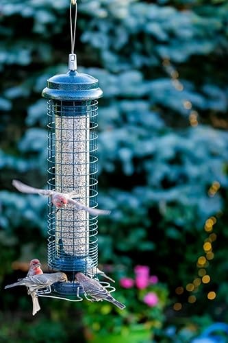 Squirrel Solution 150 Squirrel-Proof Bird Feeder for Wild Birds – 4 Stainless