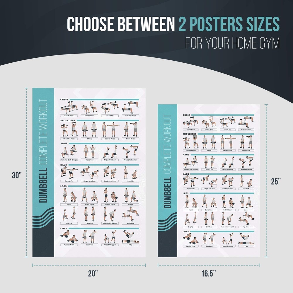 FitMate Dumbbell Workout Exercise Poster - Workout Routine with Free Weights,...