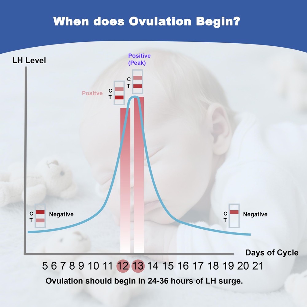 Ovulation Test Strips, Bulk Tests, Fertility Tests 40 Count, Blue