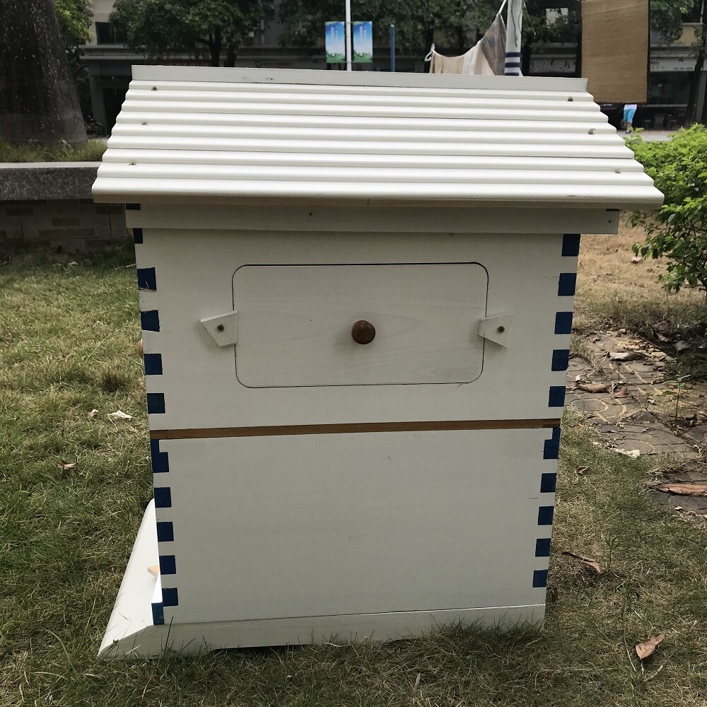 Big Auto Seep Beehive Honey Bee Hive Box Beekeeping Boxes + 7xPlastic Bee Frames