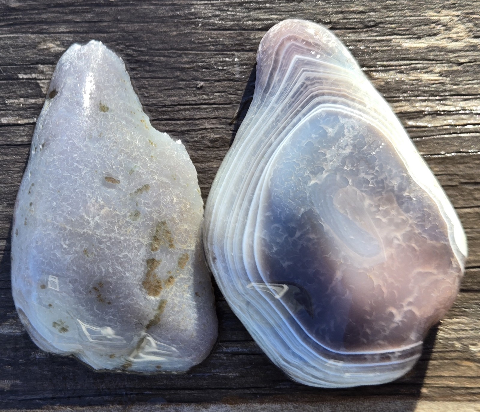 Botswana Agate Cut In Half - Rough, Natural, Not Polished